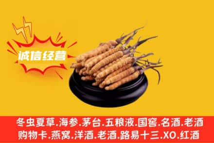 楚雄回收冬虫夏草